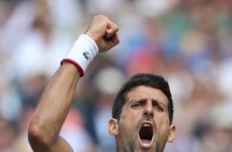 How Novak Djokovic broke the 'Fedal' duopoly